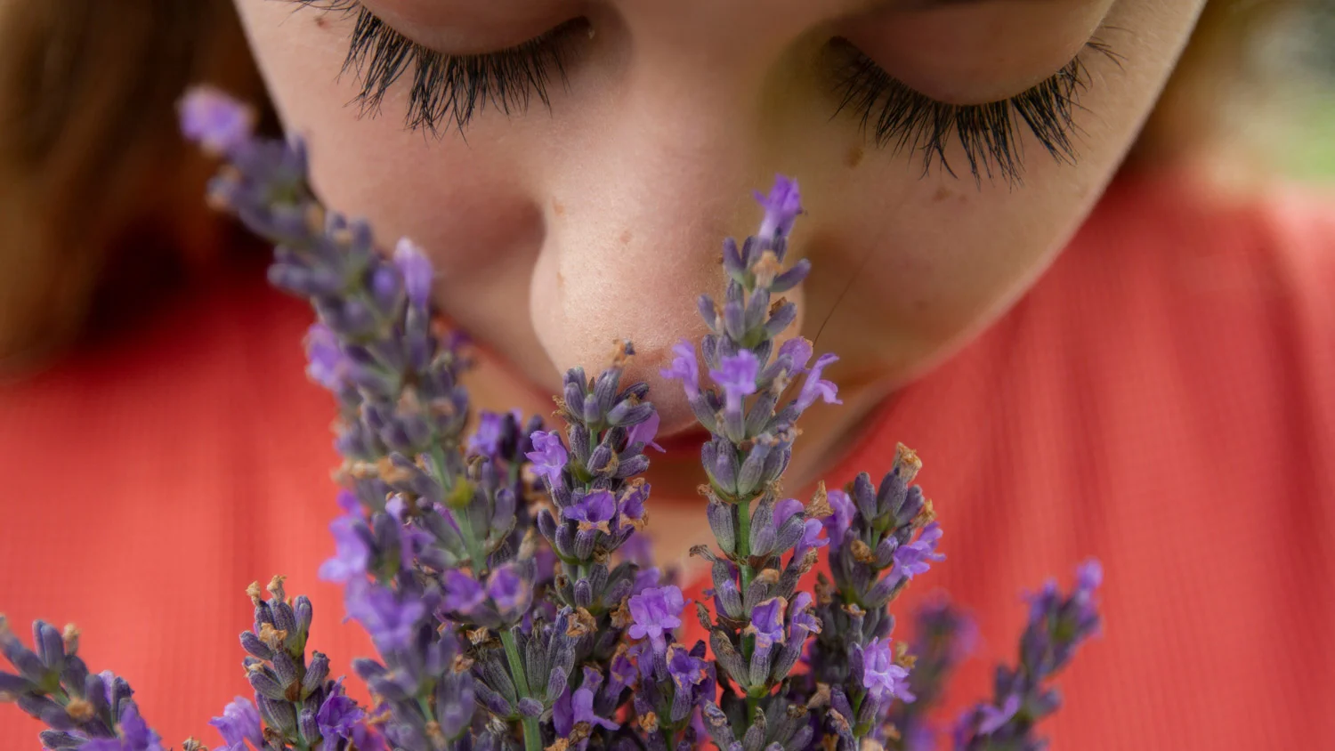 Beitragsbild
